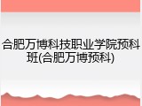 合肥万博科技职业学院预科班(合肥万博预科)