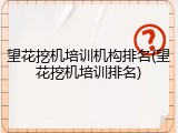 望花挖机培训机构排名(望花挖机培训排名)