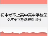 初中考不上高中高中学校怎么办(中考落榜出路)