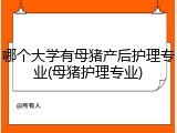 哪个大学有母猪产后护理专业(母猪护理专业)