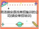 商洛镇安县找单招集训的公司(镇安单招培训)