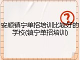 安顺镇宁单招培训比较好的学校(镇宁单招培训)