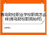 青岛财经职业学校职高怎么样(青岛财校职高如何)