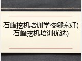 石峰挖机培训学校哪家好(石峰挖机培训优选)