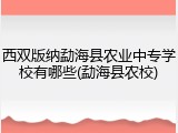 西双版纳勐海县农业中专学校有哪些(勐海县农校)