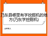 乃东县哪里有学挖掘机的地方(乃东学挖掘机)