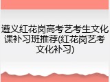 遵义红花岗高考艺考生文化课补习班推荐(红花岗艺考文化补习)