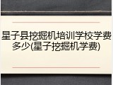 星子县挖掘机培训学校学费多少(星子挖掘机学费)