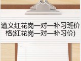 遵义红花岗一对一补习班价格(红花岗一对一补习价)