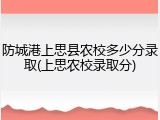 防城港上思县农校多少分录取(上思农校录取分)