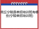 商丘宁陵县单招培训班有哪些(宁陵单招培训班)