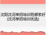 沈阳沈河单招培训班哪家好(沈河单招培训优选)