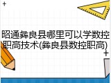 昭通彝良县哪里可以学数控职高技术(彝良县数控职高)