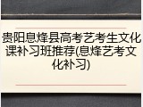 贵阳息烽县高考艺考生文化课补习班推荐(息烽艺考文化补习)