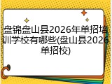 盘锦盘山县2026年单招培训学校有哪些(盘山县2026单招校)