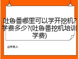 吐鲁番哪里可以学开挖机?学费多少?(吐鲁番挖机培训学费)