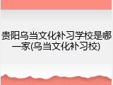 贵阳乌当文化补习学校是哪一家(乌当文化补习校)