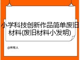 小学科技创新作品简单废旧材料(废旧材料小发明)