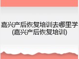 嘉兴产后恢复培训去哪里学(嘉兴产后恢复培训)