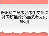 贵阳乌当高考艺考生文化课补习班推荐(乌当艺考文化补习)