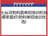 七台河勃利县单招培训机构哪家最好(勃利单招培训优选)