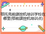 鄂托克前旗挖机培训学校在哪里(鄂前旗挖机培训点)