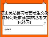 凉山美姑县高考艺考生文化课补习班推荐(美姑艺考文化补习)