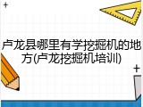 卢龙县哪里有学挖掘机的地方(卢龙挖掘机培训)