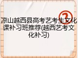 凉山越西县高考艺考生文化课补习班推荐(越西艺考文化补习)