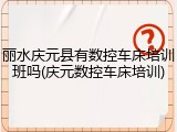 丽水庆元县有数控车床培训班吗(庆元数控车床培训)