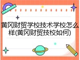 黄冈财贸学校技术学校怎么样(黄冈财贸技校如何)