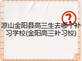 凉山金阳县高三生去哪个补习学校(金阳高三补习校)