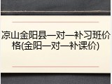 凉山金阳县一对一补习班价格(金阳一对一补课价)