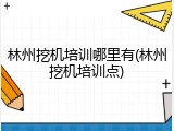 林州挖机培训哪里有(林州挖机培训点)