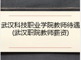 武汉科技职业学院教师待遇(武汉职院教师薪资)