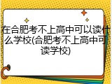 在合肥考不上高中可以读什么学校(合肥考不上高中可读学校)
