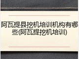 阿瓦提县挖机培训机构有哪些(阿瓦提挖机培训)