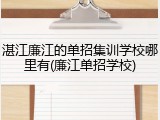 湛江廉江的单招集训学校哪里有(廉江单招学校)