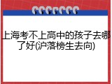 上海考不上高中的孩子去哪了好(沪落榜生去向)