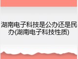 湖南电子科技是公办还是民办(湖南电子科技性质)