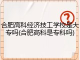 合肥高科经济技工学校是大专吗(合肥高科是专科吗)