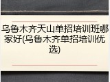 乌鲁木齐天山单招培训班哪家好(乌鲁木齐单招培训优选)