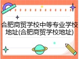 合肥商贸学校中等专业学校地址(合肥商贸学校地址)