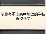 毕业考不上高中能读的学校(职校升学)
