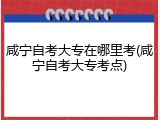 咸宁自考大专在哪里考(咸宁自考大专考点)