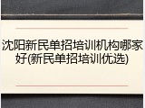 沈阳新民单招培训机构哪家好(新民单招培训优选)