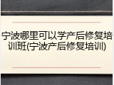宁波哪里可以学产后修复培训班(宁波产后修复培训)