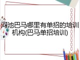 河池巴马哪里有单招的培训机构(巴马单招培训)