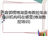 巴音郭楞博湖县有数控车床培训机构吗在哪里(博湖数控培训)