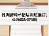 株洲荷塘单招培训班推荐(荷塘单招培训)